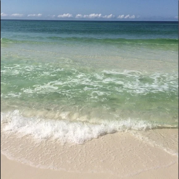 My fur babies and others. Lol. - Picture 11 of 15